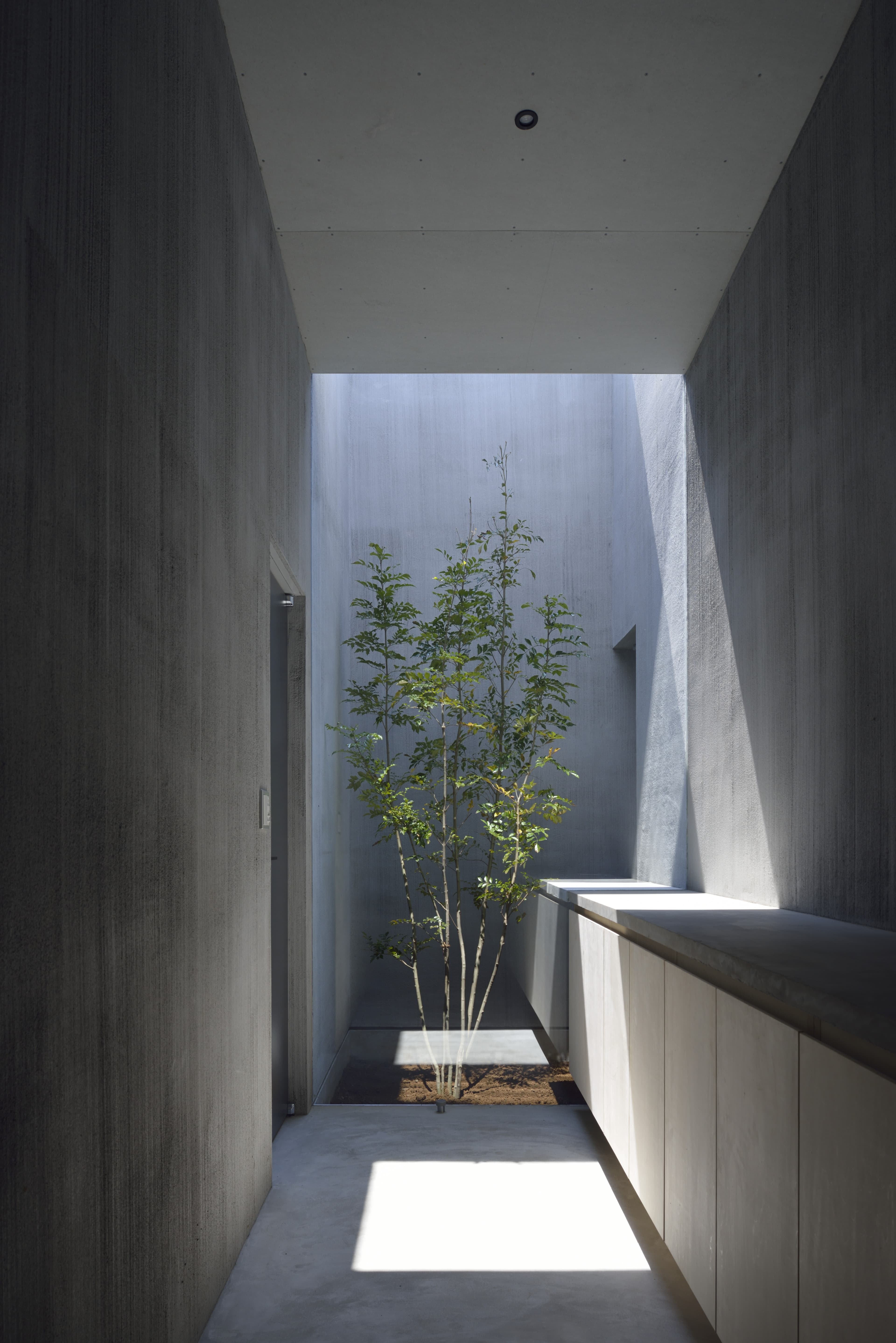 Case Study Court-House 3 gallery image 8